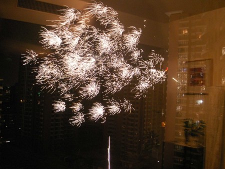 Feu d'artifice ! Firework!