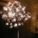 Feu d'artifice ! Firework!