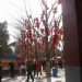Faux fruits rouge...